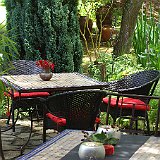 la terrasse  la terrasse dévant la mare nénuphar